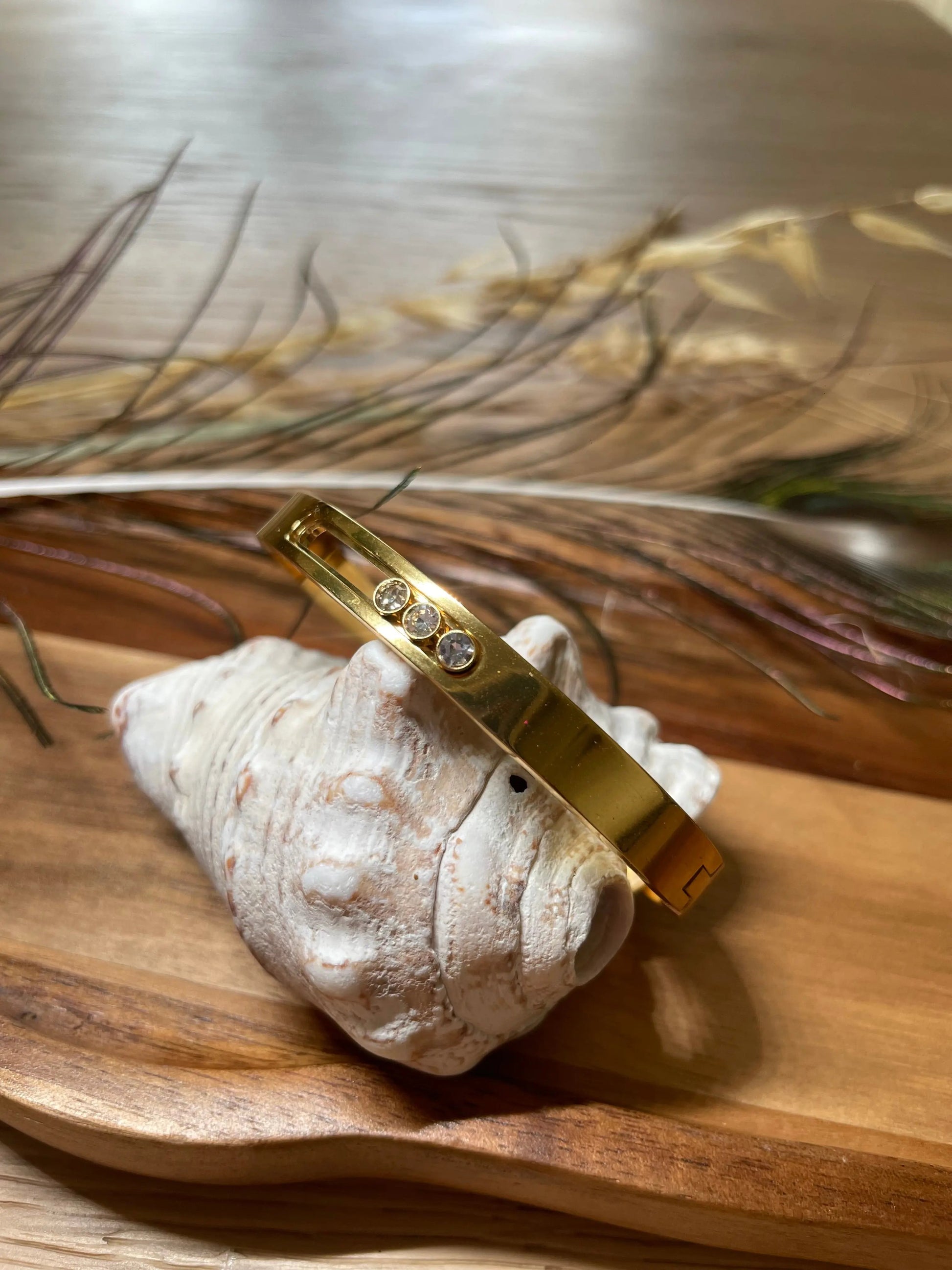 Bracelet jonc acier strass - Camélia COSMOS